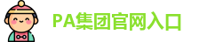 PA集团